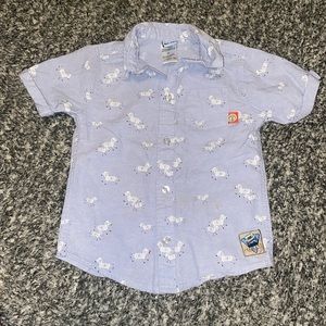 4T toddler boy collar shirt. Great condition.
